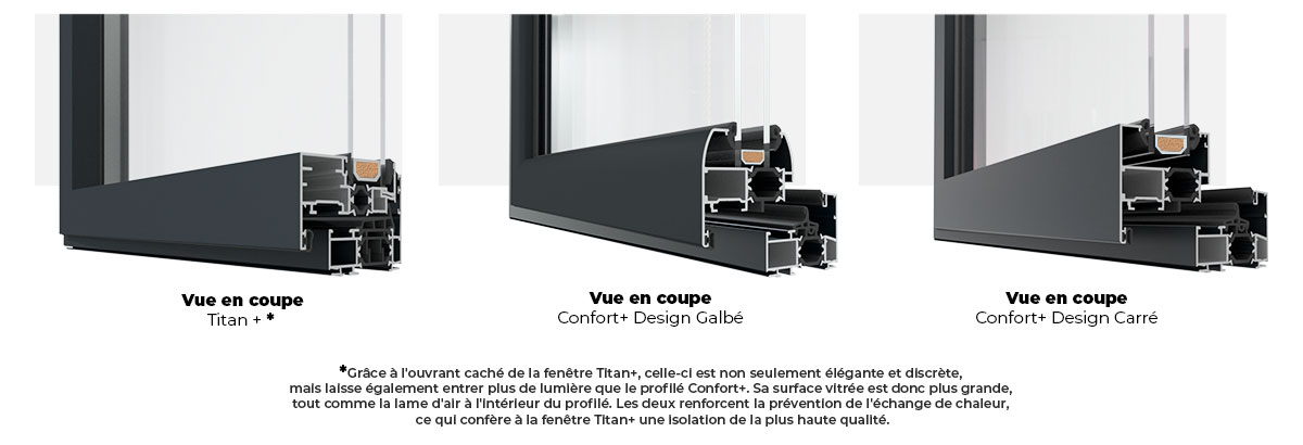 Veu en coupe