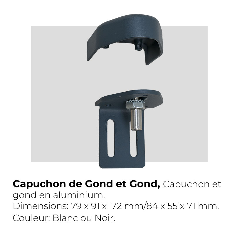 Capuchon de gond et gond