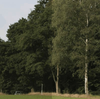 Vitrage Clair Porte d'Entree Aluminium Tierce Fixe Vitrée